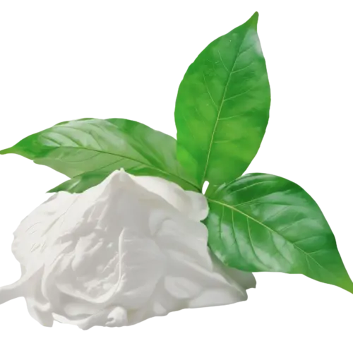 Aurien ™️ -Remineralizing Gum 35 larine27 ezgif.com resize